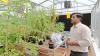 Indian scientists are arming plants through gene editing. And climate-proofing them