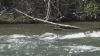 Always hazards: First responders warn of river risks after man dies in Boise River