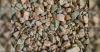 India’s rare-earth doping breakthrough hints at future of energy storage