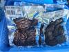 Seafood processing businessman appreciates government for trade show revival