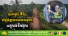 New Rural Roads Construction Commences in Cambodia to Boost Eco-Tourism