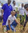 From Real Estate to Environmental Champion: Divine Nabaweesi’s Fight Against Deforestation