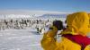 Travellers are flocking to Antarctica. How can it be protected from overtourism?