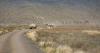 US military's attempt to retain strategic land for training runs into Native Hawaiian...