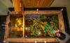 Bhutan Spirit Sanctuary offers a cool retreat for the summer