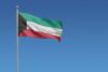 Kuwait tightens weapons law, enacts new penalties