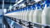 Kyrgyzstan establishes milk procurement tariffs based on fat content