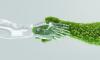 How Eco-Friendly Packaging Can Help Your Brand or Business’s Bottom Line