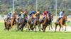 Foxtel renews Racing Victoria deal, Stan hikes sports price after EPL coup