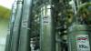 Why is Iran doubling down on its nuclear program?