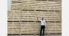 End of potato harvest in Egypt, exporters switch to cold storage