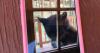 How Game and Fish makes sure Arizonans are 'bear aware' this summer