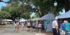 Our Lady of the Gulf Crab Festival brings food, art, and memories to Bay St. Louis
