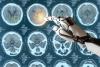 Lunit partners with Microsoft to develop AI cancer diagnostic tools