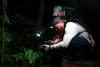 Frogging in the Bornean jungle: Tourists brave bugs and snakes to spot Sarawak’s tiniest stars