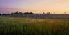 Foreign renewable energy investors remain committed to Romania as large plants coming online