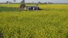 GTRI cautions against imports of GM farm products from U.S.; may affect India's agricultural exports