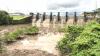 Recent droughts are ‘slow-moving global catastrophe’, says UN report