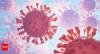 H5N1 outbreak: Cambodia reports 12th case this year; early symptoms to watch for