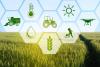 Pakistan’s top agri research body becomes ‘dormant’