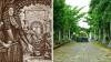 This 17th-century Dutch book on Indian plants is sparking an international science workshop in Kerala