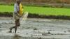 Regenerative agriculture: The future of India’s cultivation practices