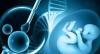 Scientists say lab-grown sperm and eggs just a few years away