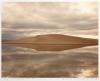 Art, environment, conservation all part of new AMFA exhibit