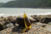 Olive oil in seaweed: a breakthrough in sustainable food