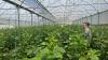 Türkiye sets new record in agricultural output, enters world’s top 7