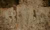 1,800-year-old Roman watchtower discovered along Croatian Danube