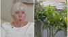 How a single shed in a Florida backyard triggered a flurry of HOA lawsuits costing local homeowners thousands