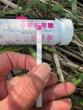 Opinion: Iowans need more than bottles to address water quality issues