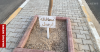 Iraq replanted in Ramadi: Bridges of Generations showcases national unity