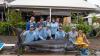 Kiwi Tom Francis skippers NZ boat Ultimate Lady to Blue Marlin World Cup victory