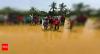 Generate interest in agriculture among youth: Official