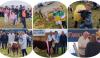 PICTURES | Magnificent day in glorious weather at superb Longford Agricultural Show