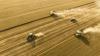 Unmanned farming paves way for China’s smart, sustainable agriculture future