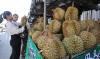 112 Cambodian farms get green light to export fresh durian to China