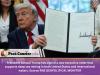 US Deep Sea Mining order disrespects Pacific, say campaigners
