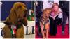 Italian prime minister condemns 'cowardly' killing of hero sniffer dog