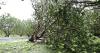Agricultural losses from Typhoon Danas at least NT$250 million