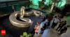 What’s bigger than an anaconda? This 58-million-year-old fossil of prehistoric snake in Colombia may have the answer