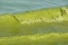 Michigan’s fight against Lake Erie pollution didn’t work. What happens next?