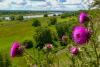 EU launches nature credits roadmap