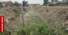Water shortage in Basra: Upstream violations end agriculture, endanger fish