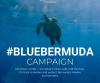 Bermuda is Love launches #BlueBermuda campaign