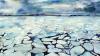 Things To Do: Polar art; Park Passport Challenge; Cape Verdean Heritage