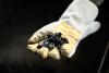 Regenerative Collaboration in Colombia Leads to ‘Biochar Origins’ Coffee Line