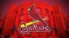 Young catcher defies odds, becomes Cardinals prospect in 5 months